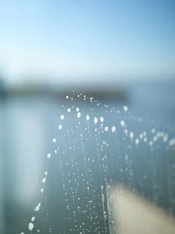 Hard Water Stain Removal: The Professional Method