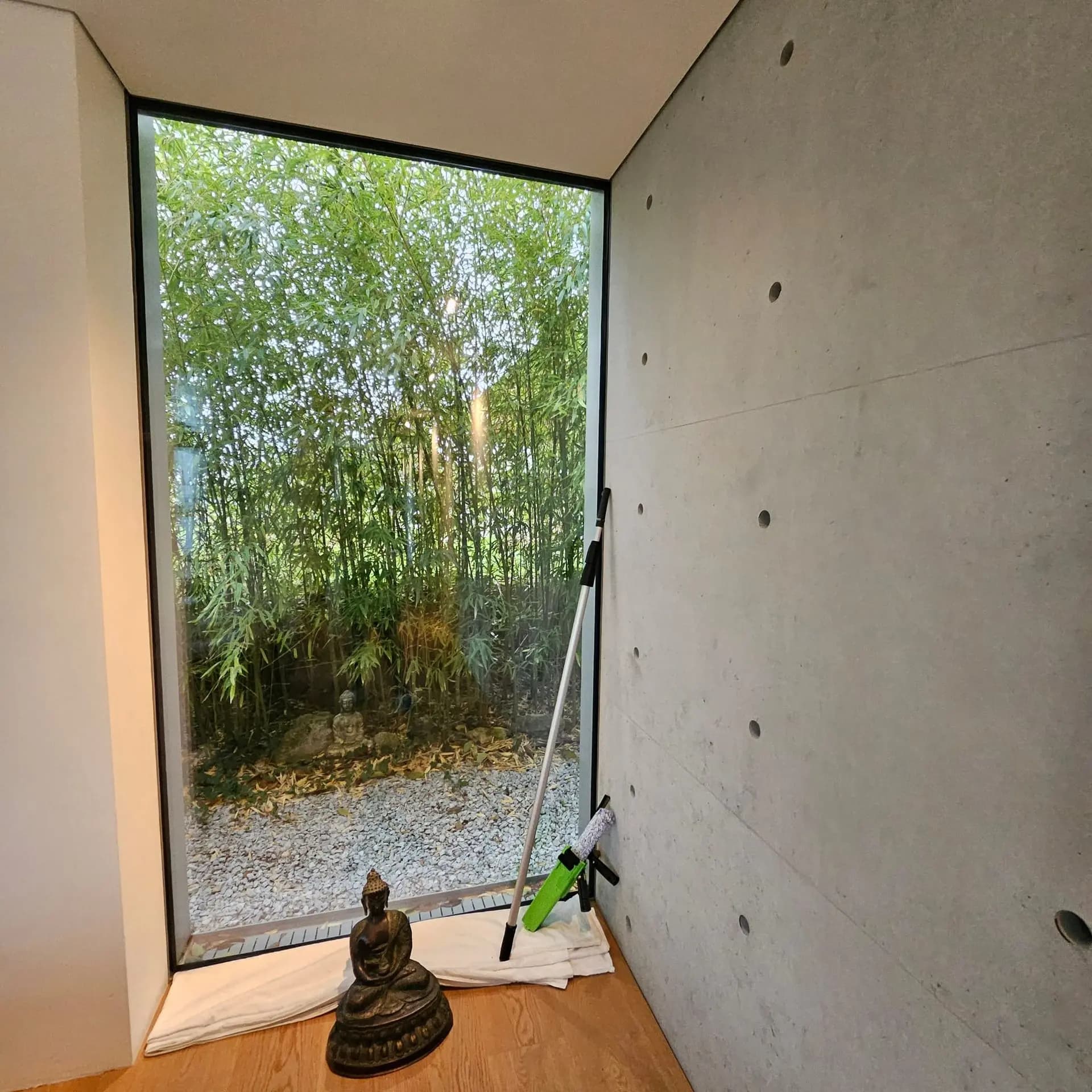 Streak-Free Professional Window Cleaning Guide