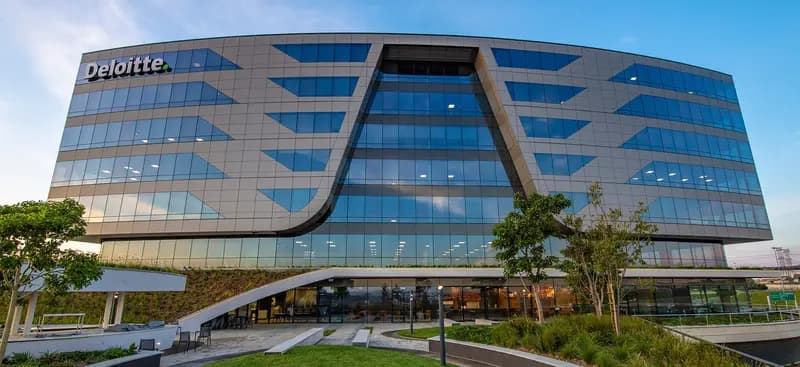 hunter-douglas-sa windows
