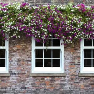 quickslide windows