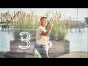 youtube - [Video]